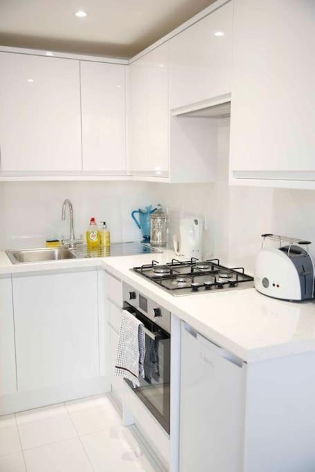 Appartement Cozy One Bedroom Next To Paddington Londen